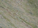 0_5312664_719007.jpg